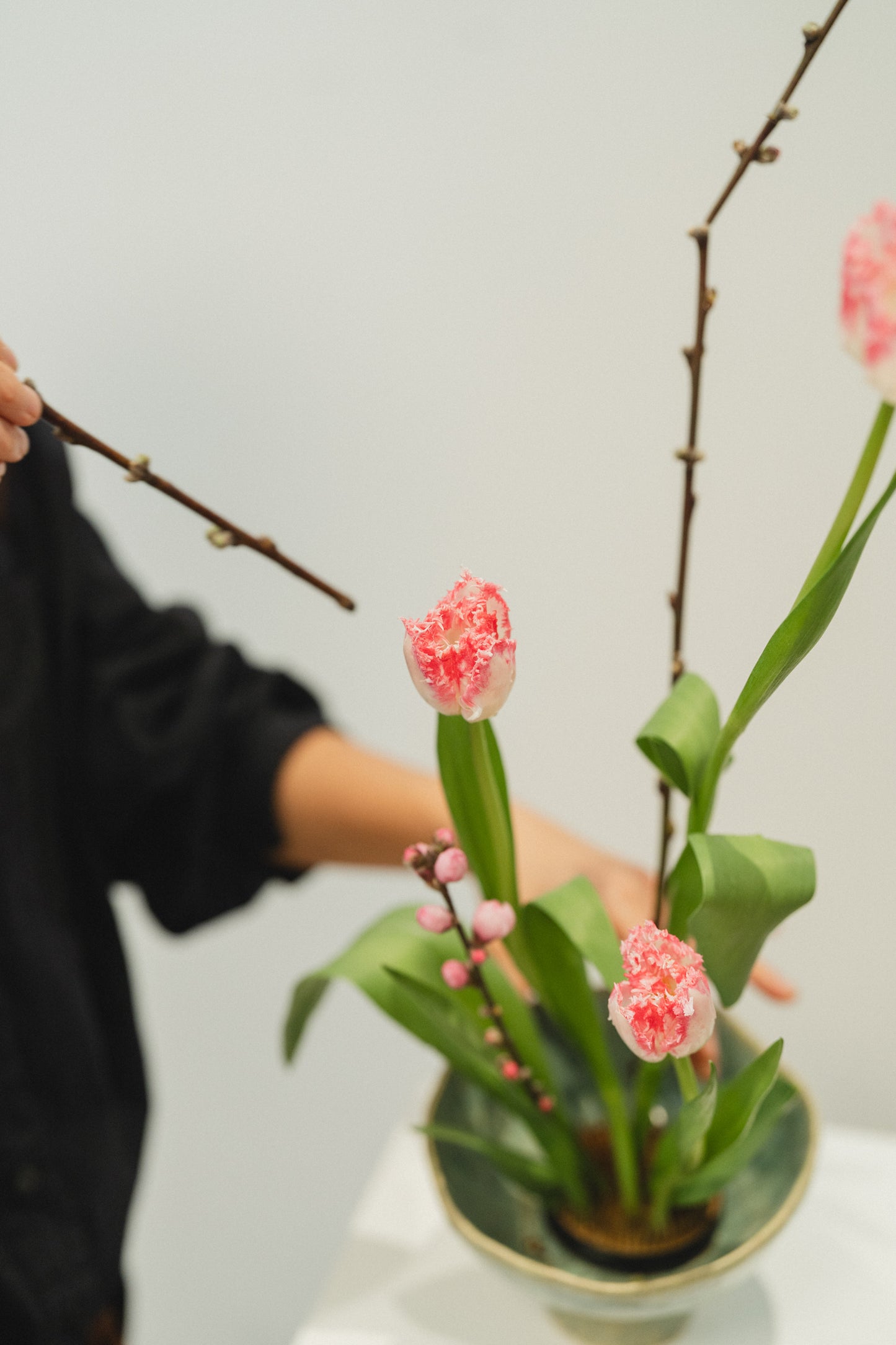 Sakura Ikebana Kit