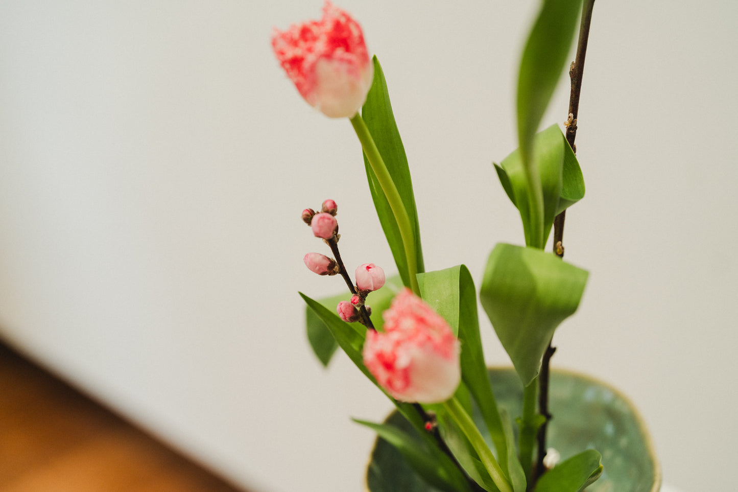 Sakura Ikebana Kit