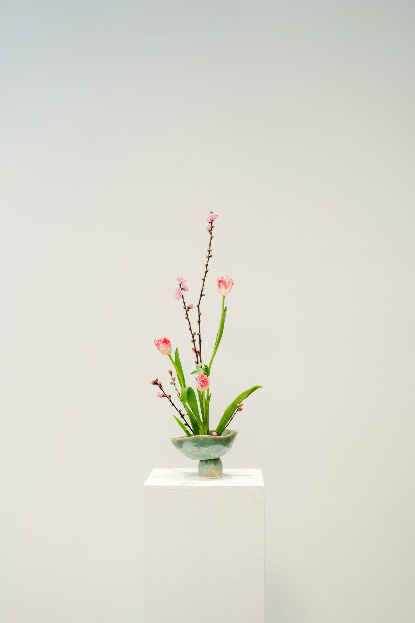 Sakura Ikebana Kit