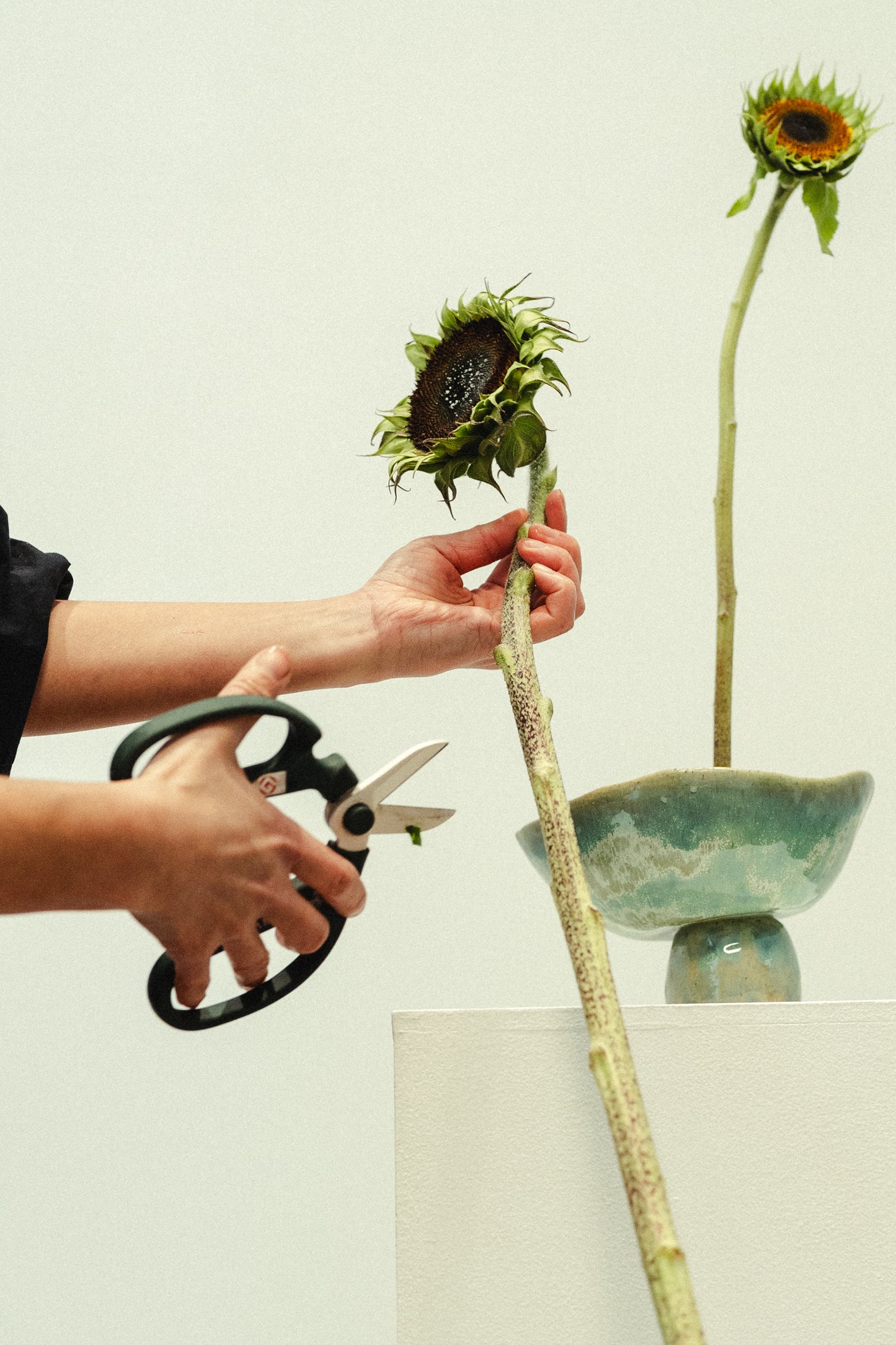 Sunflower Ikebana Kit