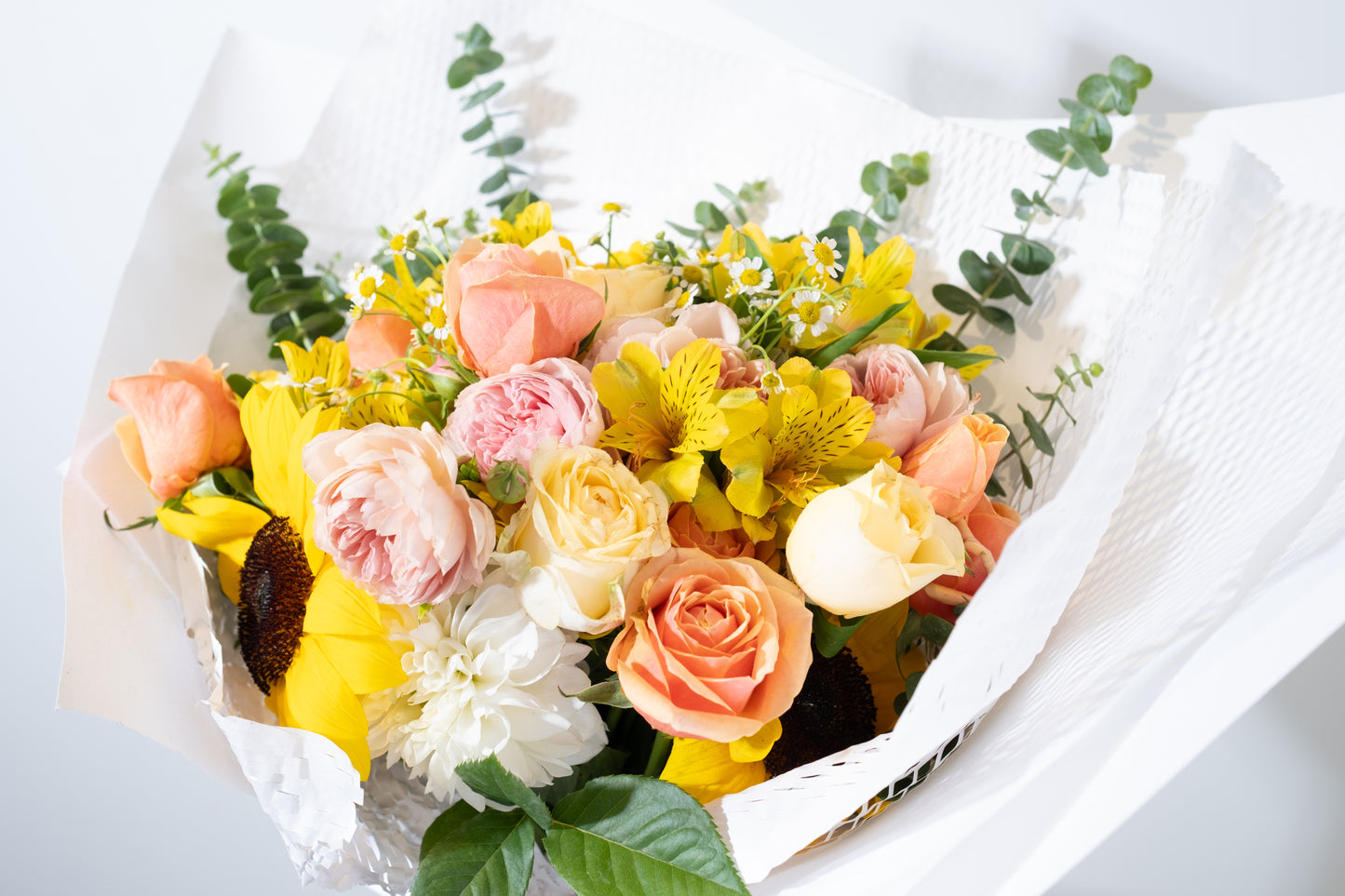 Yellow Posy