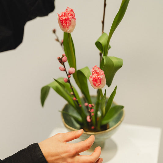 Sakura Ikebana Kit