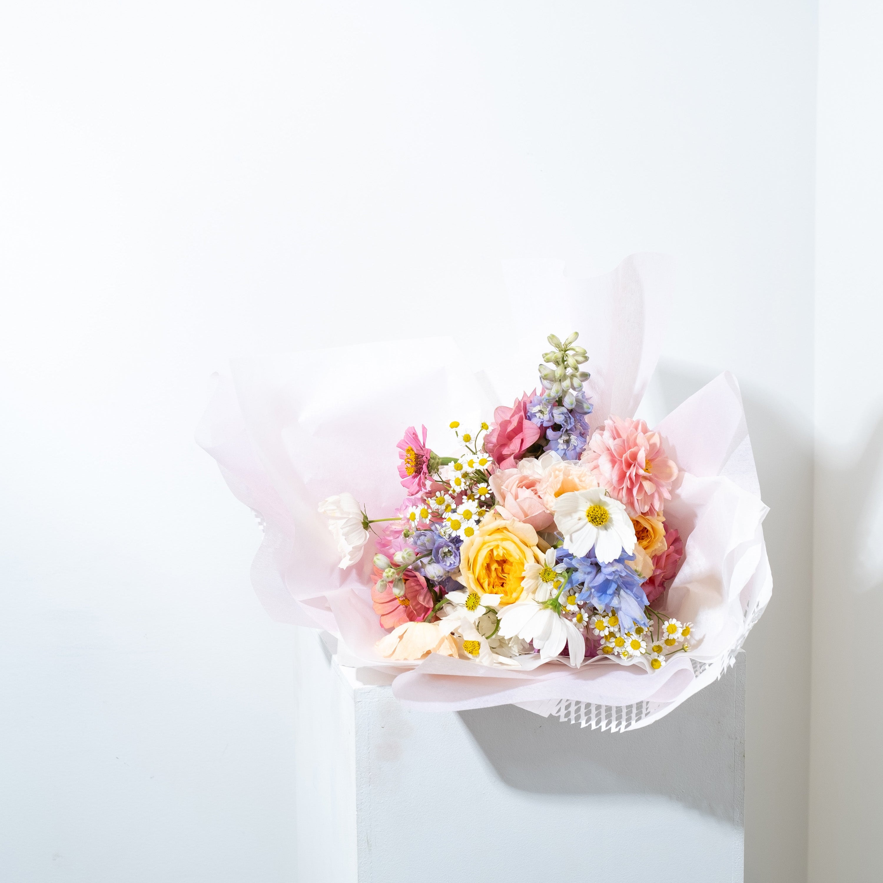 Products – miyavi