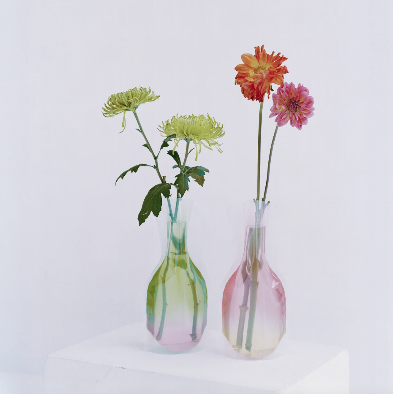 Flower Vase - Jelly Beach